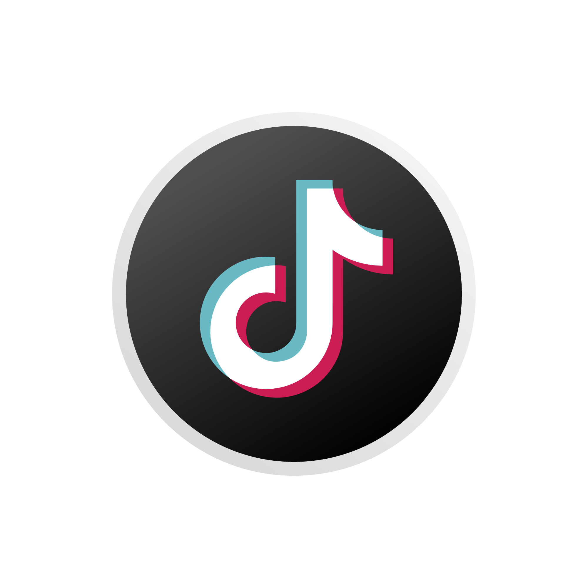 TikTok Boost Services